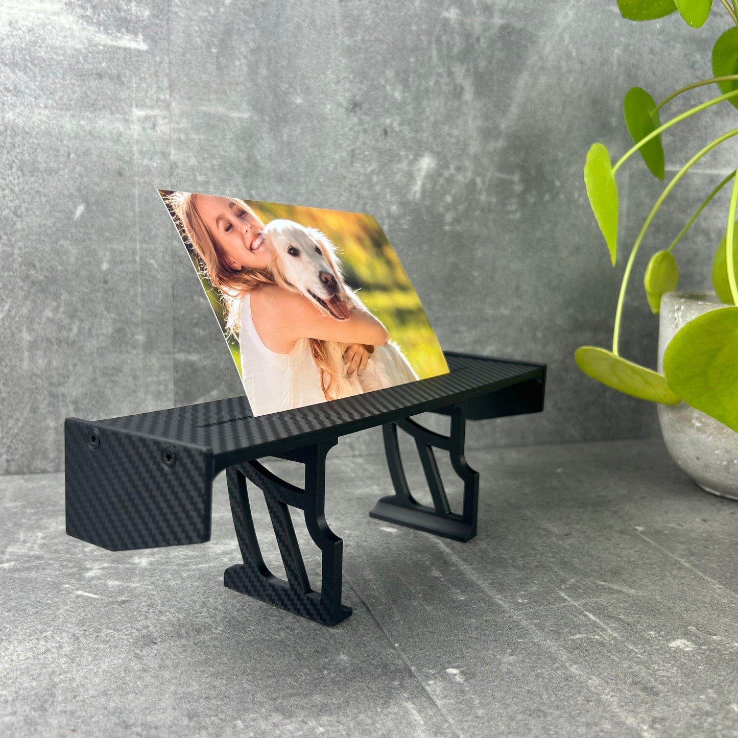 Spoiler-Bildhalter aus Polymer-Carbon-Verbund